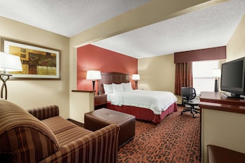 Room, 1 King Bed, Accessible, Non Smoking