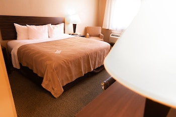 Standard Room, 1 King Bed, Non Smoking
