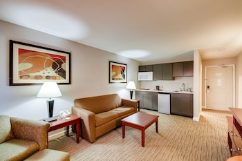 Suite, 1 King Bed