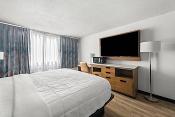 Standard Room, 1 King Bed, Non Smoking