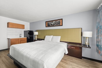 Standard Room, 1 King Bed, Non Smoking