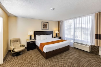 Standard Room, 1 King Bed, Non Smoking