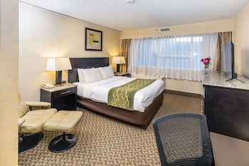 Standard Room, 1 Queen Bed, Non Smoking