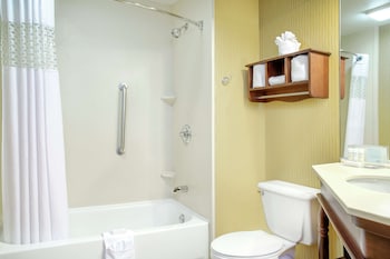 Room, 1 King Bed, Accessible