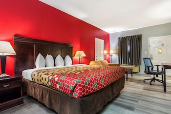 Standard Room, 1 King Bed, Non Smoking