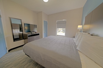 Suite, 1 King Bed with Sofa bed