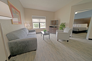 Suite, 1 King Bed with Sofa bed