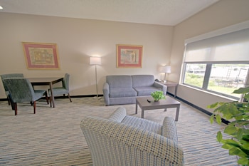 Suite, 1 King Bed with Sofa bed
