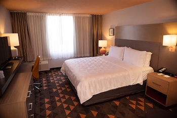 Room, 1 King Bed, Mobility Accessible, Non Smoking (Bathtub W/grab Bars)