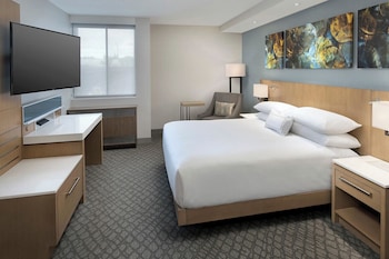 Room, 1 King Bed with Sofa bed (Mobility/Hearing Access, Roll-In Shwr)
