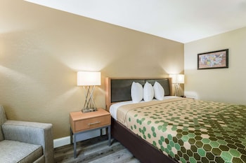 Room, 1 King Bed