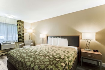 Room, 1 King Bed
