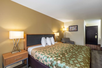 Room, 1 King Bed, Accessible, Non Smoking