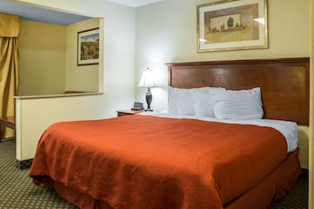 Suite, 1 King Bed with Sofa bed, Non Smoking