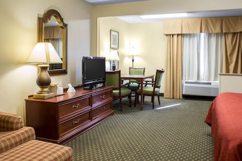 Suite, 1 King Bed with Sofa bed, Non Smoking