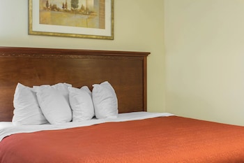 Room, 1 King Bed, Accessible, Non Smoking