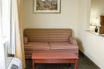 Room, 1 King Bed, Accessible, Non Smoking