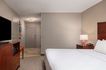 Room, 1 King Bed, Accessible, Bathtub (Nonsmoking)