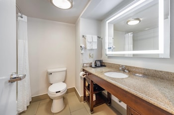 Suite, 1 King Bed, Non Smoking