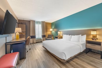 Room, 1 King Bed, Mobility Accessible, Non Smoking