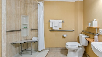 Standard Room, 1 King Bed, Accessible (Mobility, Roll-in Shower)