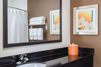 Room, 1 King Bed, Hearing Accessible (Roll-in Shower & Transfer Shower)