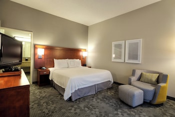 Suite, 1 King Bed