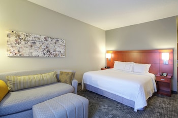 Room, 1 King Bed