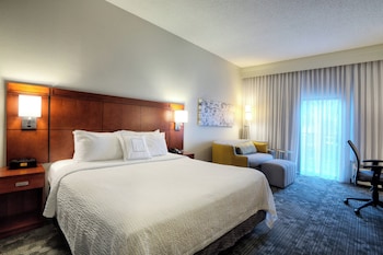 Room, 1 King Bed (Extended)