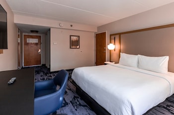 Room, 1 King Bed, Roll-in Shower