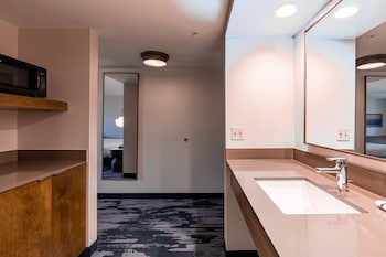 Room, 1 King Bed with Sofa bed