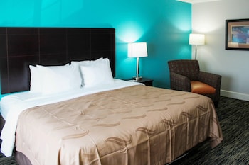 Standard Room, 1 King Bed, Non Smoking
