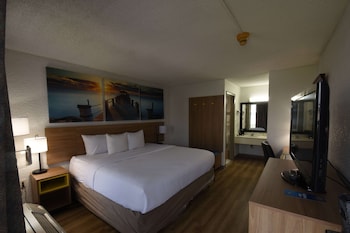 Room, 1 King Bed, Non Smoking