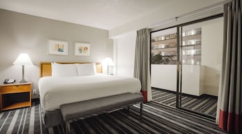 Room, 1 King Bed with Sofa bed