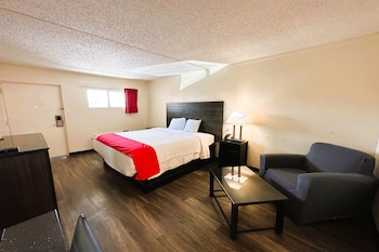 Room, 1 King Bed