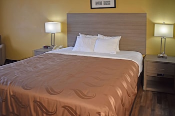 Room, 1 King Bed, Accessible, Non Smoking