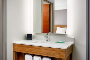Room, 1 King Bed, Accessible (with Shower)