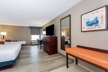 1 King Bed, Larger room, With Sofa Bed, Microwave, Fridge, Non Smoking