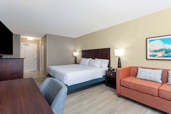 1 King Bed study with Sofa bed, Non Smoking