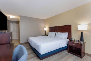 Room, 1 King Bed, Non Smoking