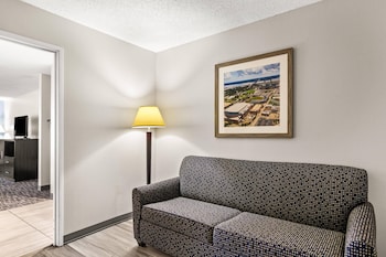 Executive Studio Suite, 1 King Bed with Sofa bed, Non Smoking