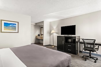 Room, 1 King Bed, Non Smoking (Roll-In Shower)