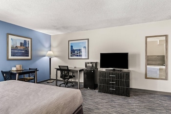 Room, 1 King Bed, Non Smoking (Roll-In Shower)