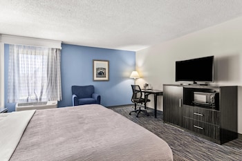 Junior Studio Suite, 1 King Bed, Non Smoking
