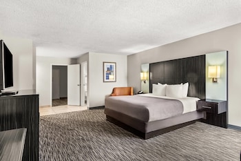 Junior Studio Suite, 1 King Bed, Non Smoking