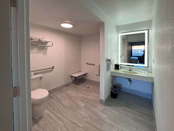 Room, 1 Queen Bed, Roll-in Shower