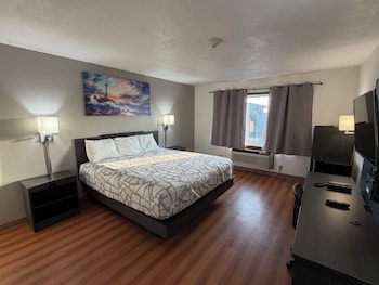 Room, 1 King Bed