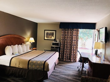 Room, 1 King Bed, Non Smoking