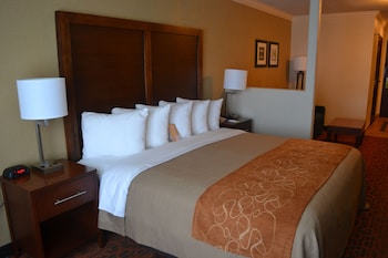 Standard Room, 1 King Bed, Non Smoking