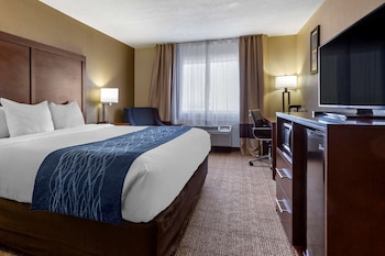 Room, 1 King Bed, Accessible, Non Smoking